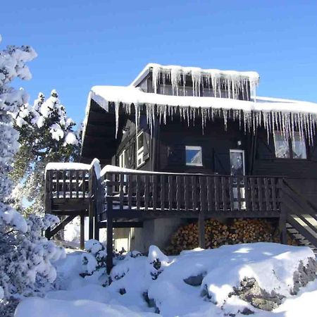 Chalet Des Myrtilles - Chalet Cosy Avec Vue Arette Kültér fotó
