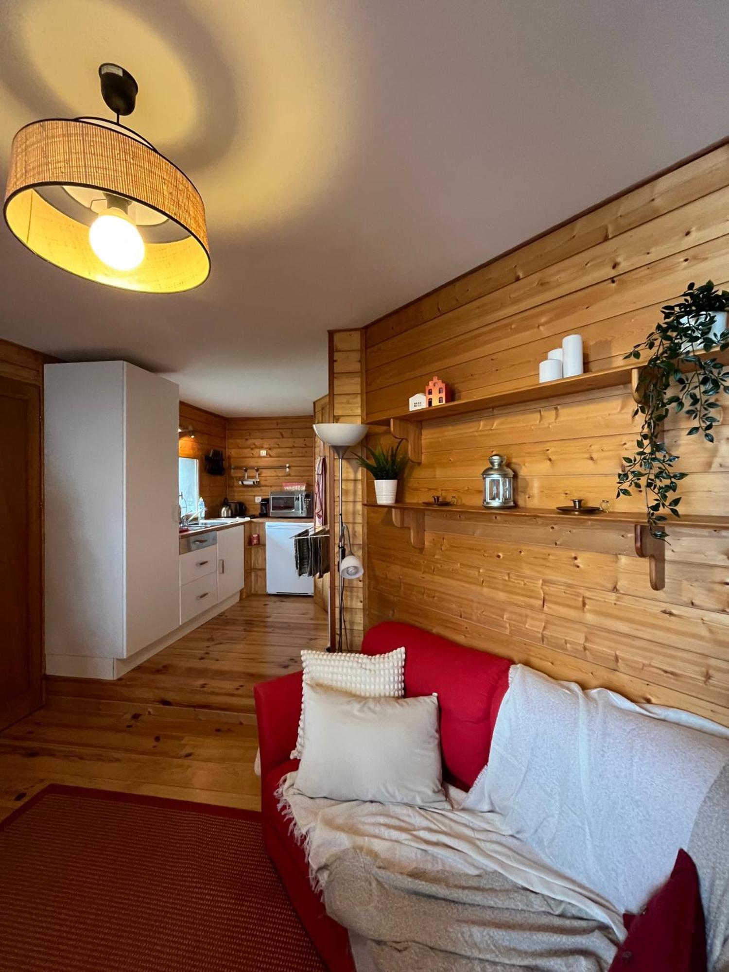 Chalet Des Myrtilles - Chalet Cosy Avec Vue Arette Kültér fotó